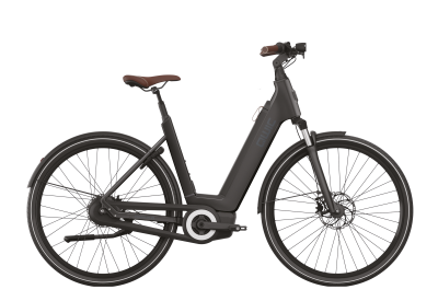 Premium Q MN8, Asphalt Black, Female